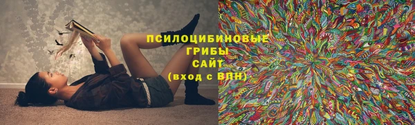 спайс Алзамай
