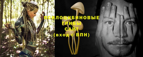 спайс Алзамай