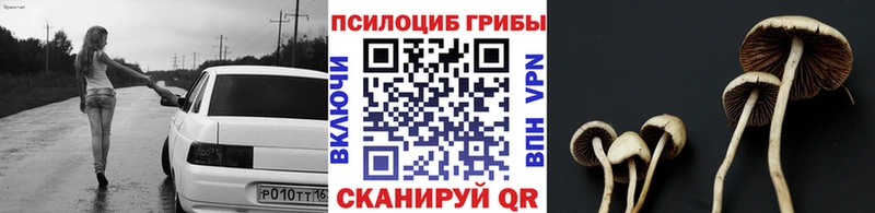 ОМГ ОМГ ТОР  Чернушка  Галлюциногенные грибы мухоморы 